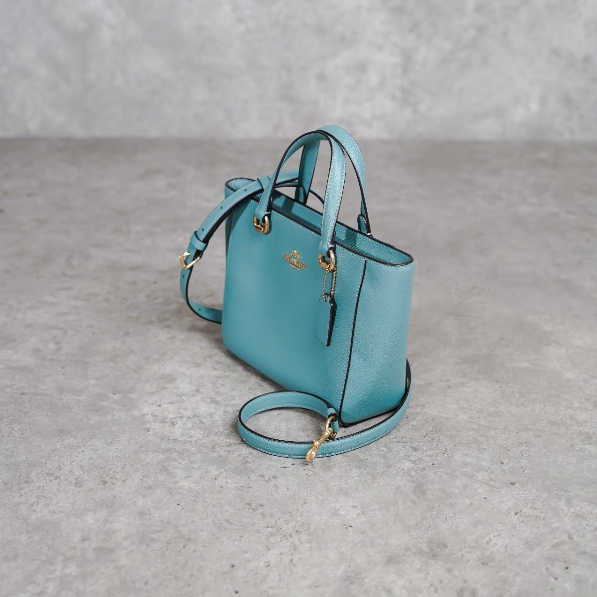 COACH AQUA BAG