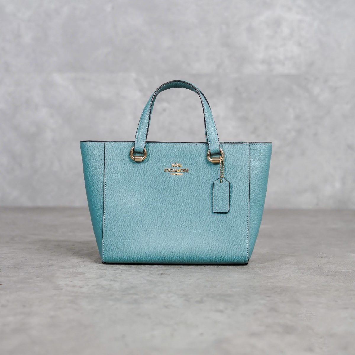 COACH AQUA BAG