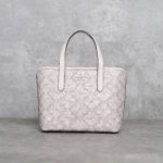 COACH BEIGE BAG