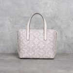 COACH BEIGE BAG