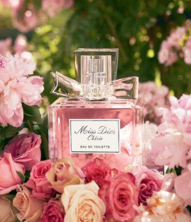 fakta menarik miss dior